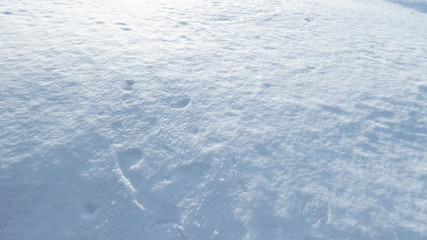 Obraz premium winter minimalistic landscape