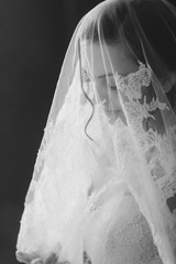 Beautiful bride portrait with veil over her face
