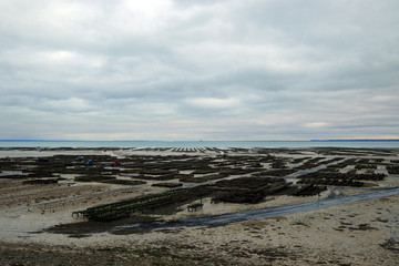 Cancale, Breton capital of oysters, France