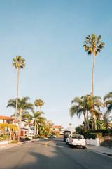 Palm trees along a street in San Clemente, Orange County, California