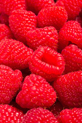 red background food fresh raspberry