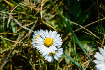 La naturaleza en aragon espa&ntilde;a