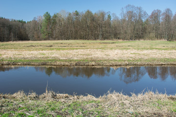 Fototapeta na wymiar River flowing through a meadow, forest and blue sky