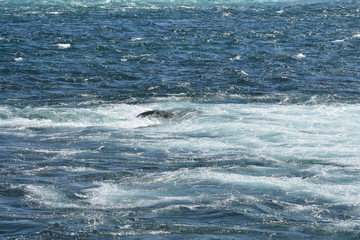 Fototapeta premium waves on the sea