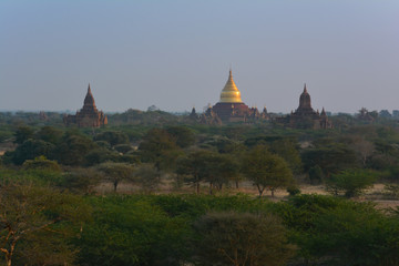 Golden Dhammayazika Pagoda at dawn in Bagan Archaeological Zone, Myanmar (Burma)