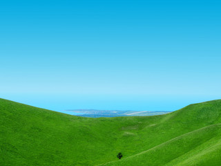 Beautiful sea view landscape. Scenery view ocean. Lonely tree. Summer meadow in the mountains, tourism. Fresh green rural meadows on a sunny day with blue sky
