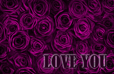 card love you with fresh pink roses .