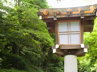 house in the forest