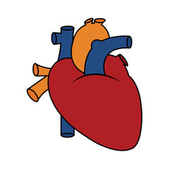 Abstract human heart