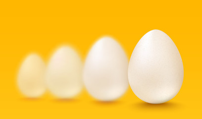 Realistic white eggs