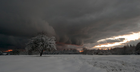 Stormy landscape in winter