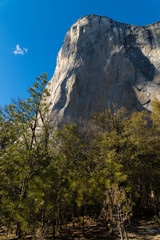 El Capitan, Yosemite National park USA