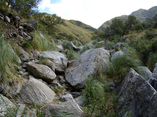 The view at Reserva Florofaunistica reserve in Merlo, San Luis, Argentina.