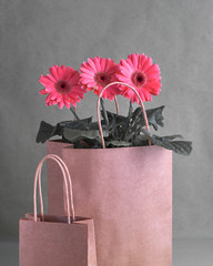 Coral gerbera daisy flowers and craft papper shopping bags on paper background, copy-space