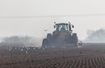 tractor plowing the land
