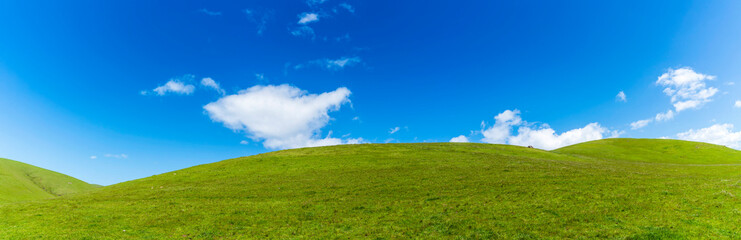 Fototapeta na wymiar Panoramic Pastureland on Hillside