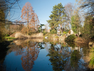 Fototapeta na wymiar Trees in springtime reflecting in a lake on a beautiful sunny day in the botanical garden in Cologne.