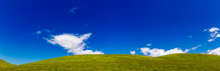 Green Hillside of Grass in Panorama