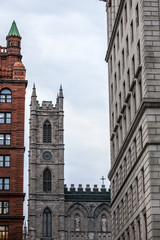 Clocktower of Notre Dame Basilica in the Old Montreal, surrounded by the tower of old stone and brick buildings. The basilica is the main cathedral of Montreal, Quebec, Canada