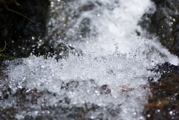 SONY DSC