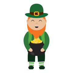 Saint pattrick day gnome