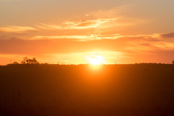 Rural scene of dusk in a field