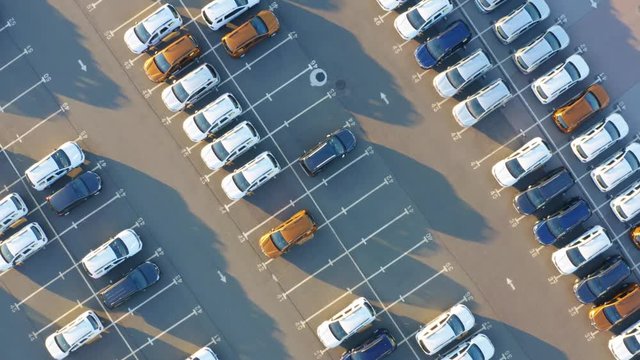 Aerial top view of the customs parking lot with a rows of a new cars