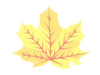 Maple Leaf 2