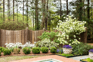 Obraz premium Louisiana Spring Time