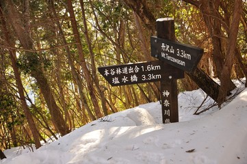 雪に埋もれる道標