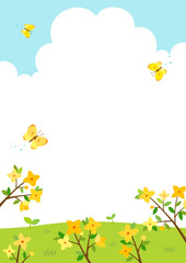 Forsythia flowers with butterflies.Spring background