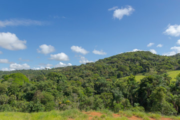 Fototapeta na wymiar Vista de área de preservada da Mata Atlântica no município de Guarani, estado de Minas Gerais, Brasil
