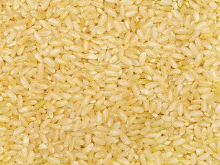 Background of short grain brown rice