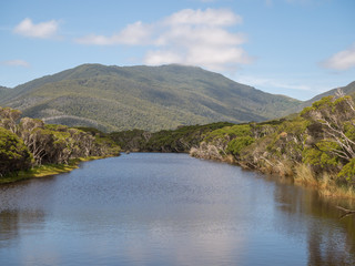 Wilsons prom