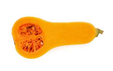 Fresh slice butternut isolated on a white background