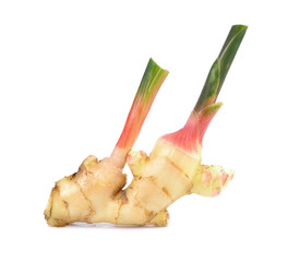 fresh ginger isolated on white background