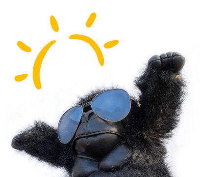 gorilla with sunglasses and big sun