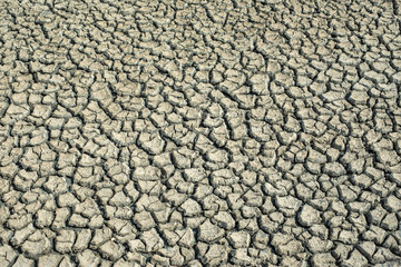 Dry saline soil grunge surface. Cracked ground. Natural background texture.
