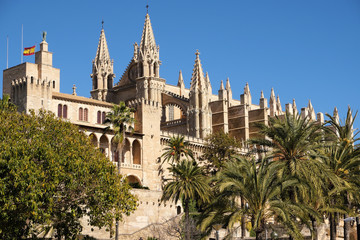 Fototapeta na wymiar Palma Mallorca cathedral Santa Maria La Seu sunny side view
