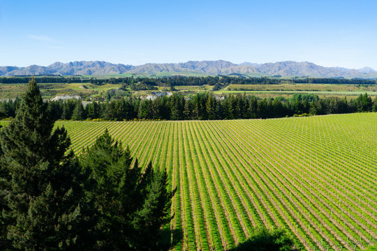 Landscape of Marlborough district