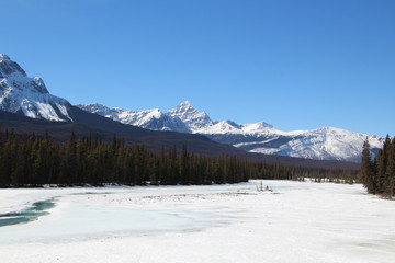 Fototapeta na wymiar Frozen Athabasca River, Jasper National Park, Alberta