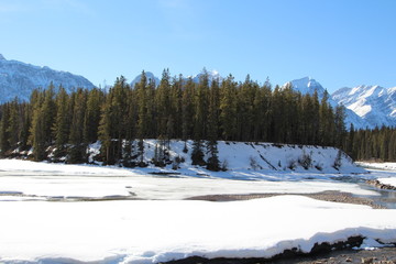 Frozen Island In The Athabasca River, Jasper National Park, Alberta