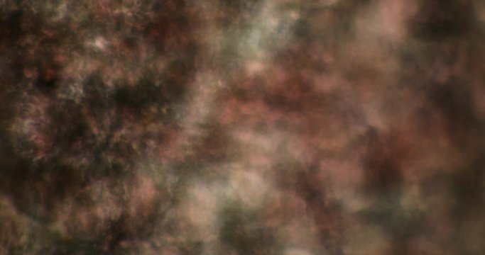 Biosph&auml;re im Micro Universum