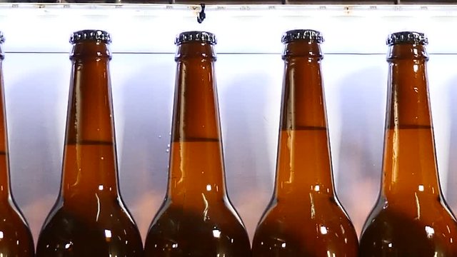 Beer factory. Final part of technological part of beer producing. conveyor in brewery, Queue of ready filled bottles on the conveyer. 4k