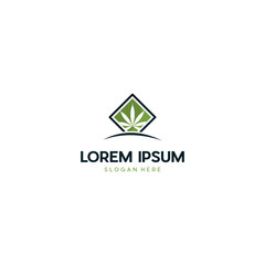 Fototapeta premium Liść kreatywny marihuany konopi