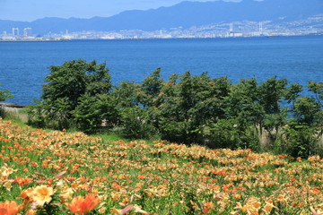 大阪舞洲ゆり園