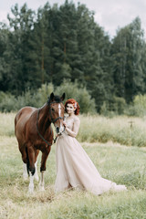 Fototapeta premium The bride on a horse in the field. Beautiful wedding and photo shoot with a horse.