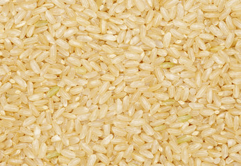 Background of short grain brown rice