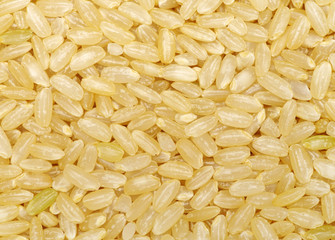 Background of short grain brown rice