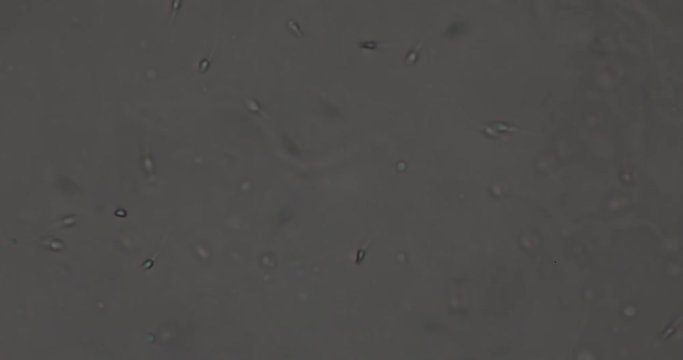 Biosph&auml;re im Micro Universum
